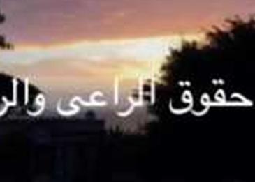 حقوق الراعي والرعية قصير